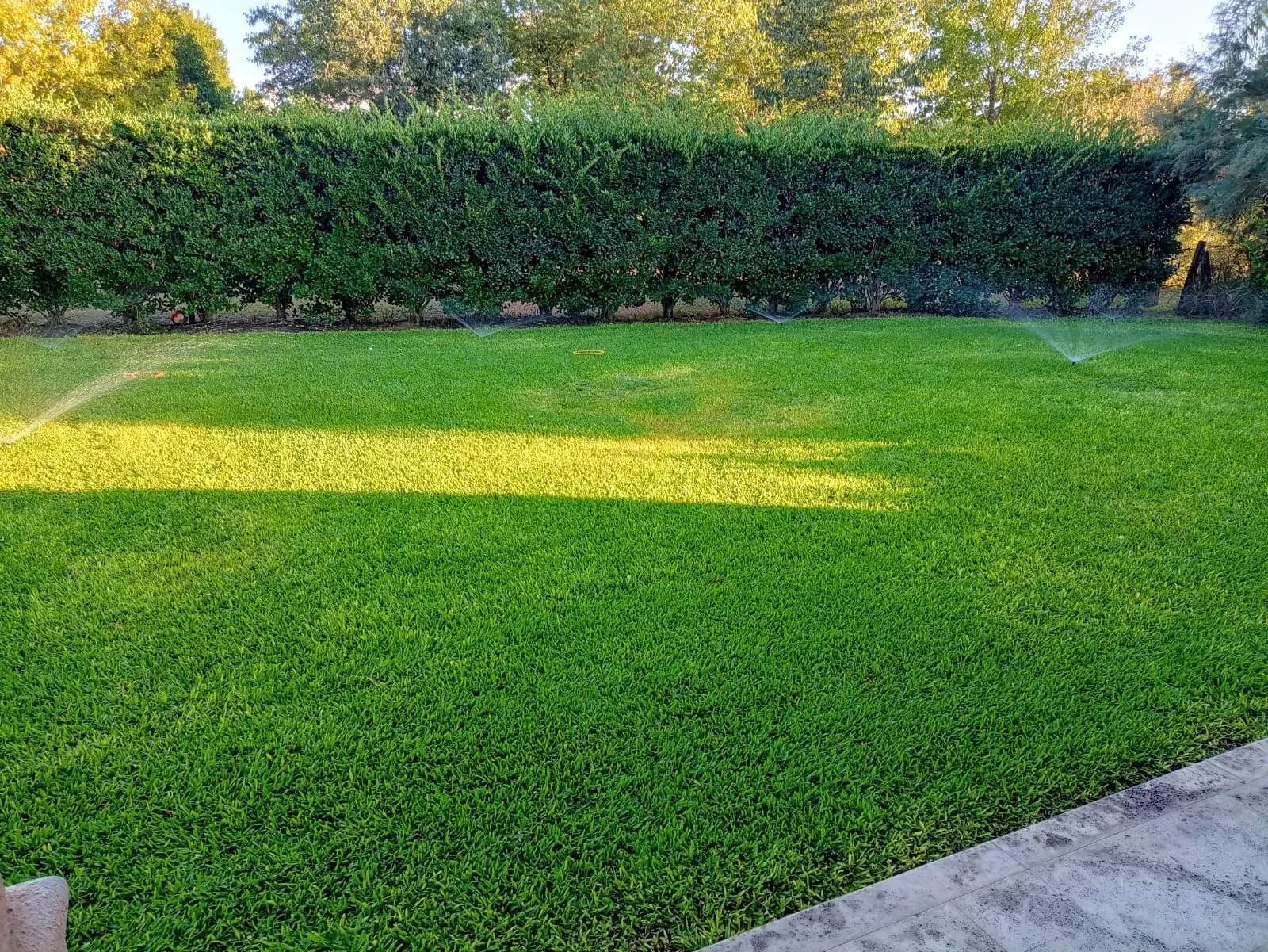Transformación de jardín realizada por Parquizaciones Green Park, con grama bahiana y sistema de riego instalado